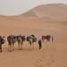 Private Tour: 5-Night Sahara Explorer Tour from Marrakech with 4WD and Camel Trek