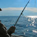 New Hampshire Deep Sea Fishing