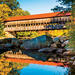 White Mountain Foliage Day Trip with Cannon Mountain Aerial Tram