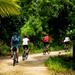 3-Day Hua Hin Bike Tour from Bangkok