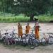 Angkor by Bicycle: 3-Day Guided Tour from Siem Reap