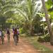 Exploring Siem Reap's Countryside by Bicycle