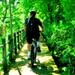 Jungle Cycling Tour from Bangkok