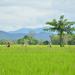 Lanna Countryside by Bike