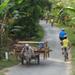 Oudong's Country Trails Bike Tour from Phnom Penh