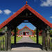 Full-Day Rotorua Shore Excursion Including Te Puia and Hells Gate Thermal Beds