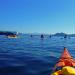 Deschutes River Kayaking Tour from Bend