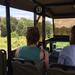 Morning Safari in Kruger Park from Hazyview