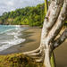 8 Day Costa Rica Natural Wonders Adventure