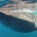 Small-Group Whale Shark and Snorkeling Tour from Cancun
