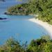 Half-Day Tour to Trunk Bay Beach from St. Thomas