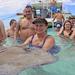 Stingray City Experience Plus One Snorkeling Stop