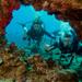 Maui Certified Scuba Diving Tour