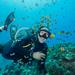 Maui Scuba Diving Introductory Lesson