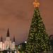 Christmas NOLA Style Walking Tour