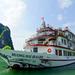 Overnight Halong Bay and Bai Tu Long Bay Cruise