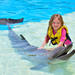 Dolphin Show and Swim with Dolphins Option