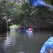 Bioluminescent Bay Glass Bottom Kayak Tour from San Juan