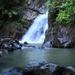 El Yunque Rainforest Guided Hiking with Waterfall Tour 