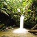 El Yunque Rainforest Hiking Adventure