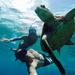 Vieques Snorkeling Tour from San Juan