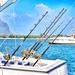 Private Full-Day or Half-Day Big Game Fishing Excursion in Mauritius