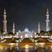 City Tour of Abu Dhabi: Sheik Zayed Mosque, Emirates Palace, Marina Mall