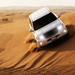 Red Dunes Desert Safari with BBQ Dinner and Transfers from Dubai 