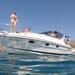 Luxury 3 hour Whale and Dolphin Watching Private Motor Boat Charter
