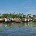 6-Day Private Tour: Periyar Wildlife Sanctuary and Backwater Houseboat Cruise in Kerala 