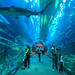 Underwater Zoo, Dubai Aquarium and Ice Rink Entrance Ticket