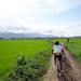 Morning Cycling Tour in Mandalay 