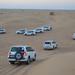 Desert Safari From Dubai: Including Buffet Dinner and Live Entertainment 