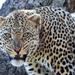 14-Days Bush to Beach Holiday From Arusha: Tarangire National Park, Lake Manyara and Ngorongoro 