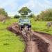 7 Days Tanzania Backpackers Safaris