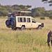 Full-Day Lake Manyara Tour from Arusha