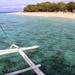 Balicasag Island Day Trip