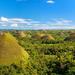 Full-Day Bohol Countryside Tour Including River Cruise