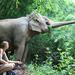 Full-Day Elephant and Sustainability Tour in Chiang Mai