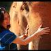 Full-Day Patara Elephant Farm Experience from Chiang Mai