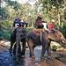 Koh Samui Full Day Mountain Safari and Elephant Trek