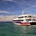 Bangkok to Koh Samui Including VIP Coach and High Speed Catamaran