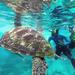 Snorkeling Day Trip at Similan Islands by Speed Boat from Krabi