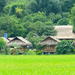 Mai Chau Valley Day Tour from Hanoi