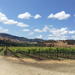 Santa Barbara Wine Lovers Tour