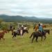 Private Vineyard Tour on Horseback with VIP Wine Tasting