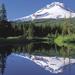 Columbia River Gorge Waterfalls and Mt Hood Tour