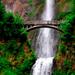 Columbia River Gorge Waterfalls Tour from Portland