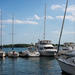 Toronto Harborfront Walking Tour with Photo Session