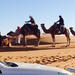 Sahara Camel Trek and Cultural Private Tour from Marrakech